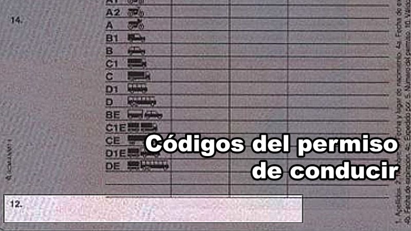 Nuevo formato de permiso de conducir
