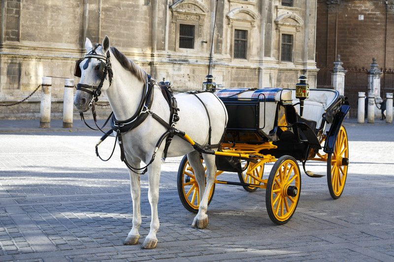 Carruaje tirado por caballos en Sevilla